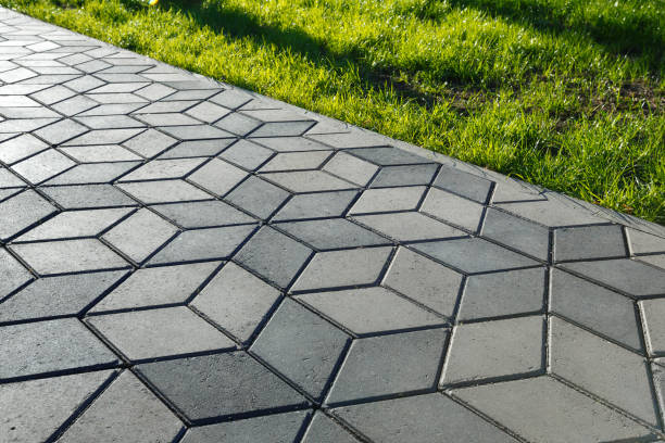 Best Driveway Paving Near Me  in Cotter, AR