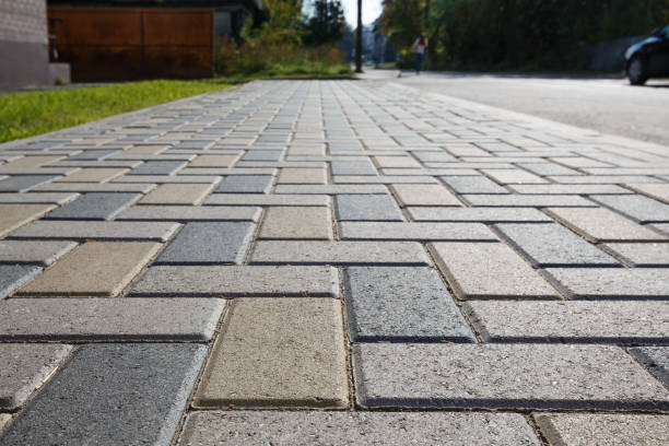 Best Driveway Paving Near Me  in Cotter, AR