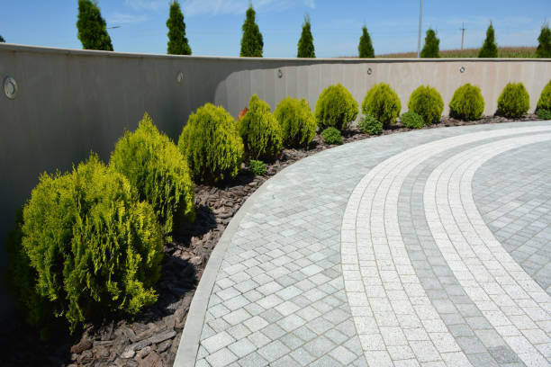 Best Permeable Paver Driveway  in Cotter, AR